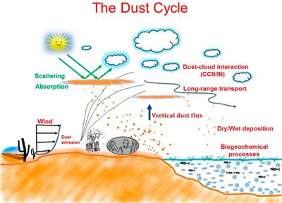 Editorial: Atmospheric dust: How it affects climate, environment and life on Earth?